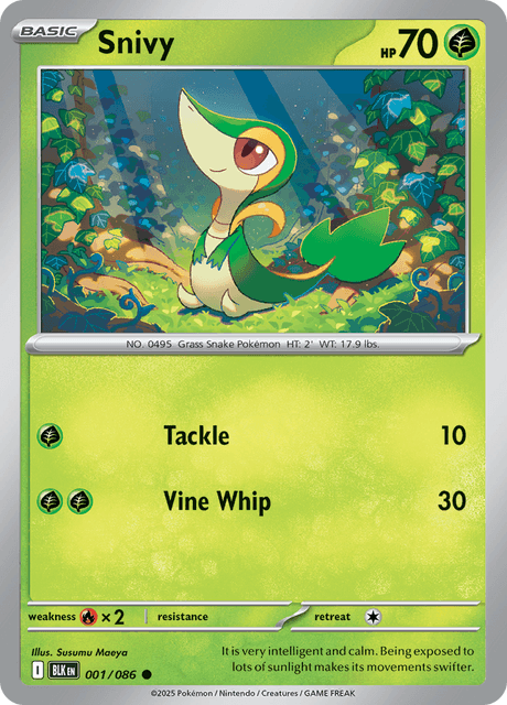 BLK - 1 - Snivy - Common