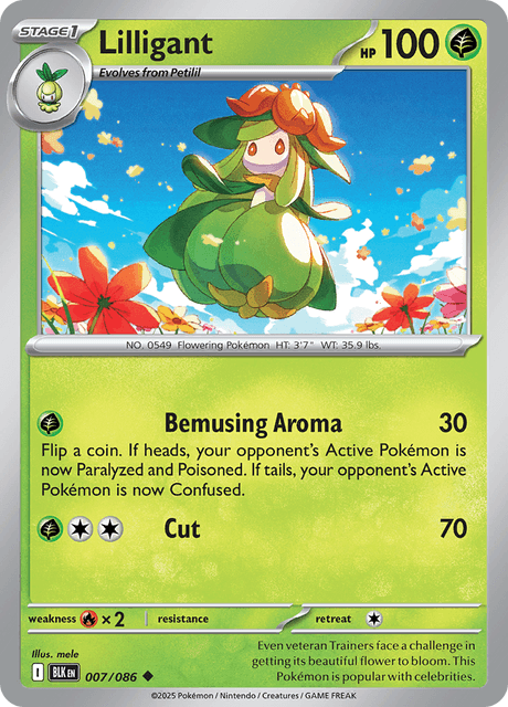 BLK - 7 - Lilligant - Uncommon