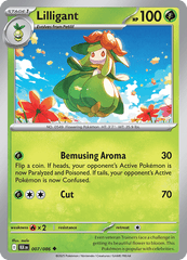 BLK - 7 - Lilligant - Uncommon
