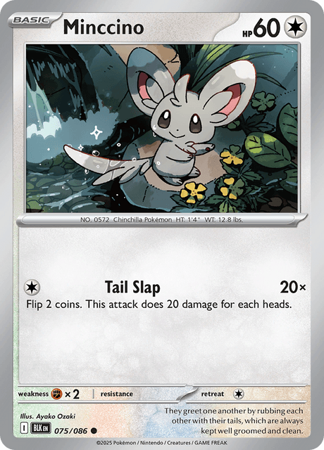 BLK - 75 - Minccino - Common