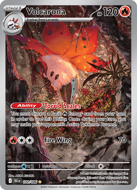 BLK - 100 - Volcarona - Art Rare