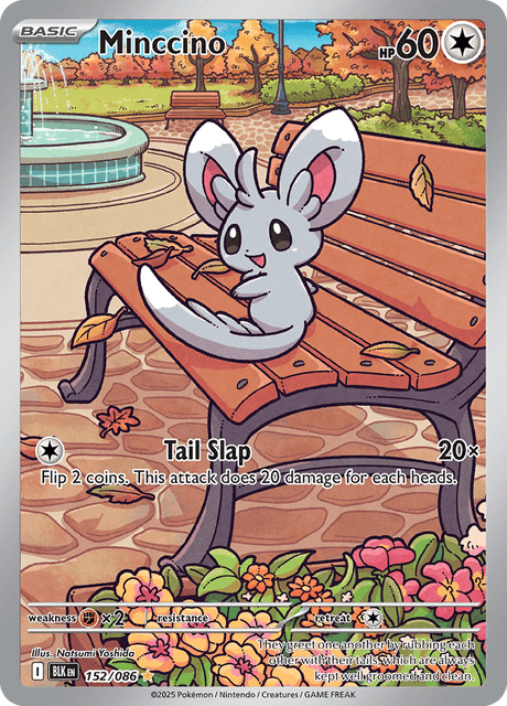 BLK - 152 - Minccino - Art Rare