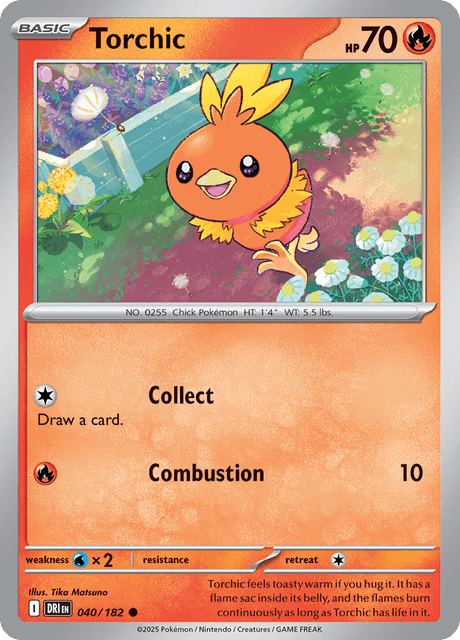 DRI - 40 - Torchic - RBasic