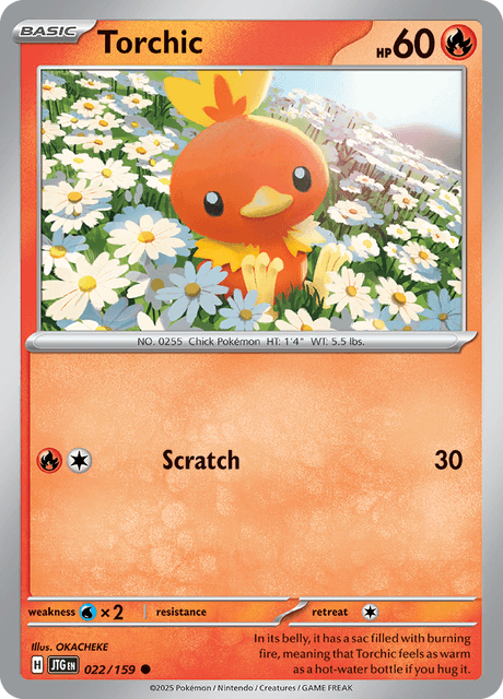 JTG - 22 - Torchic - Common