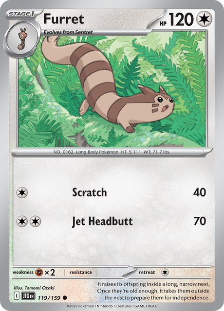 JTG - 119 - Furret - Common