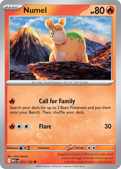 MEG - 21 - Numel - Common