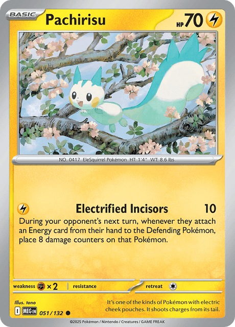 MEG - 51 - Pachirisu - Common