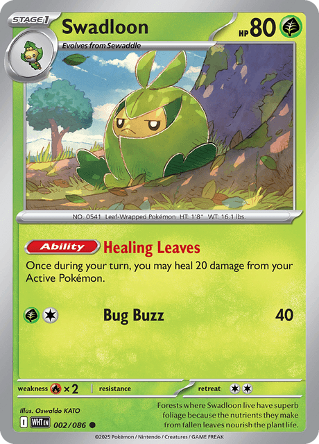 WHT - 2 - Swadloon - Common