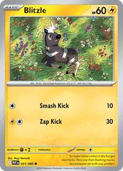 WHT - 31 - Blitzle - Common