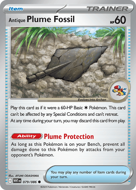 WHT - 79 - Antique Plume Fossil - Common