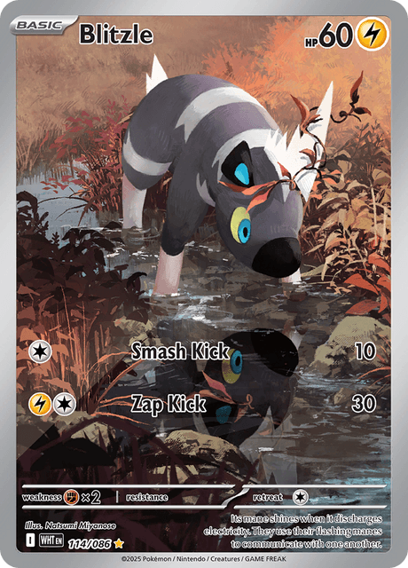 WHT - 114 - Blitzle - Art Rare