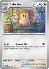 Raticate - 20/165 - Uncommon